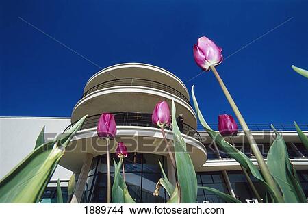 Picture - De La Warr Pavilion And Tulips. Fotosearch