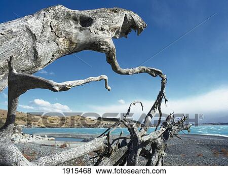 Dead Tree On Beach View Large Photo Image Stock Photo - Dead Tree On Beach. Fotosearch