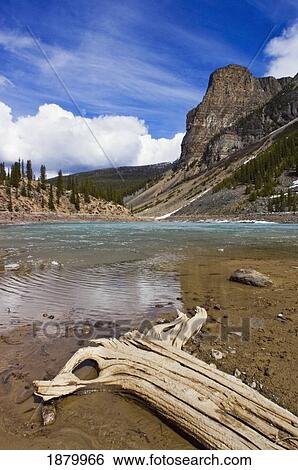 Deadwood At Moraine Lake. View Large Photo Image Stock Photograph - Deadwood At Moraine Lake.. Fotosearch
