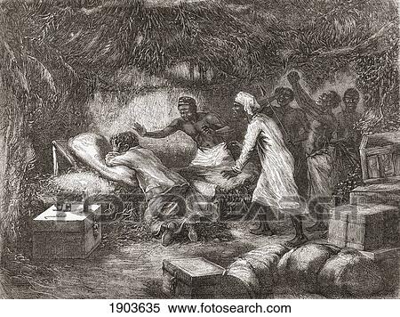 Stock Photography - Death Of Dr. David Livingstone In The Village Of Tchitammbo, Africa In 1873. Dr. David Livingstone, 1813 To 1873. Scottish Missionary And Explorer. From El Mundo En La Mano Published 1878.. Fotosearch