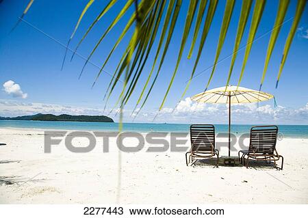 Deck chairs under parasol on white sandy beach with palm trees overlooking blue sea, Cenang beach; Pulau Langkawi, Malaysia View Large Photo Image Stock Image - Deck chairs under parasol on white sandy beach with palm trees overlooking blue sea, Cenang beach; Pulau Langkawi, Malaysia. Fotosearch
