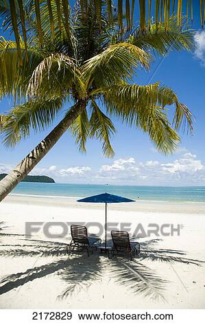 Stock Photo - Deck Chairs Under Parasol On White Sandy Beach With Palm Trees Overlooking Blue Sea. Pantai Cenang (Cenang Beach), Pulau Langkawi, &#10; Malaysia, South East Asia.. Fotosearch