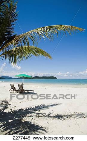 Deck chairs under parasol on white sandy beach with palm trees overlooking blue sea, Cenang beach; Pulau Langkawi, Malaysia View Large Photo Image Stock Photography - Deck chairs under parasol on white sandy beach with palm trees overlooking blue sea, Cenang beach; Pulau Langkawi, Malaysia. Fotosearch