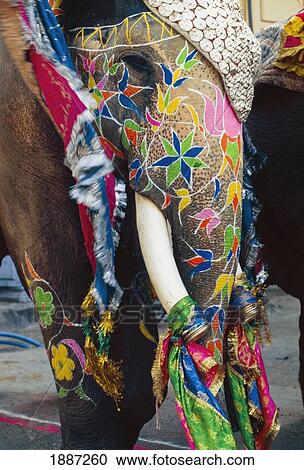 Stock Image - Decorated Elephant In Gangaur Festival Procession, Close-Up. Fotosearch