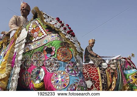 Stock Image - Decorated Elephants At Elephant Festival. Fotosearch