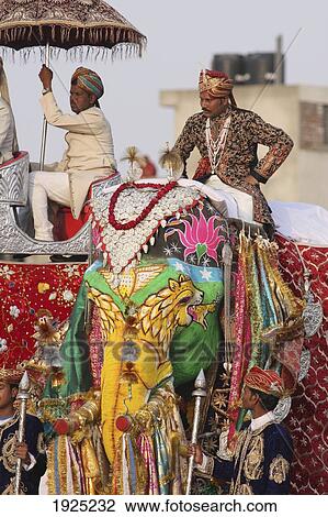 Decorated Elephants During Elephant Festival View Large Photo Image Stock Image - Decorated Elephants During Elephant Festival. Fotosearch