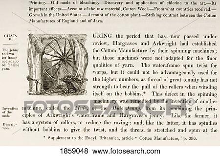 Stock Photo - Decorative Capital Initial Of Letter D. Fotosearch