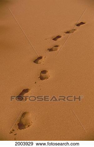 Stock Photo - Deep Footprints On Smooth Sand. Fotosearch