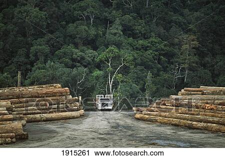 Stock Image - Deforestation Along Rejang River. Fotosearch