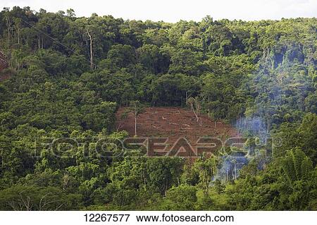 Deforestation; Mondulkiri, Cambodia View Large Photo Image Stock Photo - Deforestation; Mondulkiri, Cambodia. Fotosearch