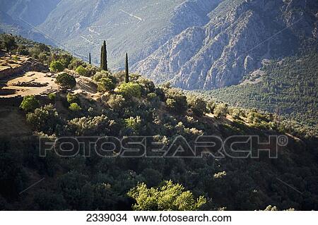 Delphi Landscape With Ancient Gymnasium; Delphi, Greece View Large Photo Image Picture - Delphi Landscape With Ancient Gymnasium; Delphi, Greece. Fotosearch