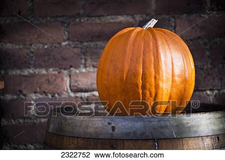 Denmark, Close-up of Pumpkin; Copenhagen View Large Photo Image Stock Image - Denmark, Close-up of Pumpkin; Copenhagen. Fotosearch