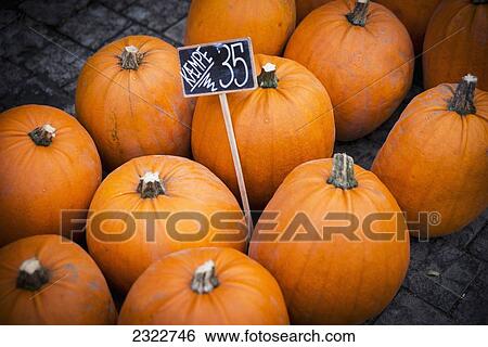 Denmark, Elevated view of Pumpkins for sale; Copenhagen View Large Photo Image Stock Photograph - Denmark, Elevated view of Pumpkins for sale; Copenhagen. Fotosearch
