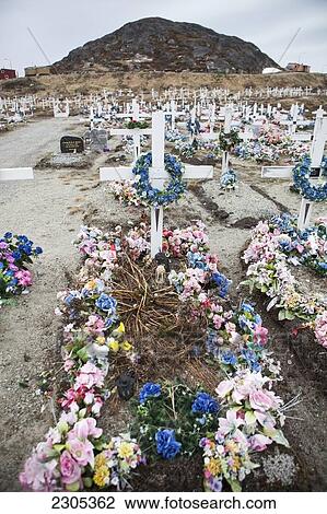 Stock Image - Denmark, Greenland, Flowers on grave in cemetery; Paamiut. Fotosearch