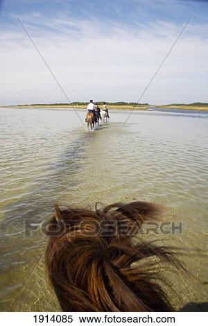 Stock Photography - Denmark, Riding Icelandic Horses on Beach; Laesoe. Fotosearch