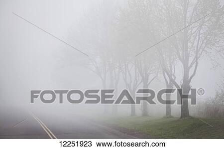 Stock Image - Dense fog over a road; Duluth, Minnesota, United States of America. Fotosearch