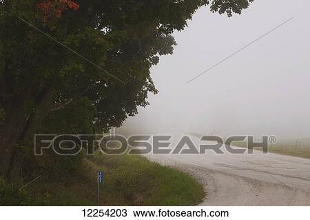 Dense fog over a road; Waterloo, Quebec, Canada View Large Photo Image Stock Image - Dense fog over a road; Waterloo, Quebec, Canada. Fotosearch