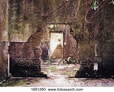 Derelict Hospital View Large Photo Image Stock Image - Derelict Hospital. Fotosearch