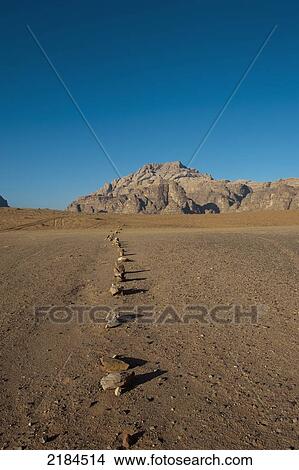 Picture - Desert In Wadi Rum, Jordan, Middle East. Fotosearch