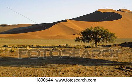 Desert Landscape In Sossusvlei View Large Photo Image Picture - Desert Landscape In Sossusvlei. Fotosearch