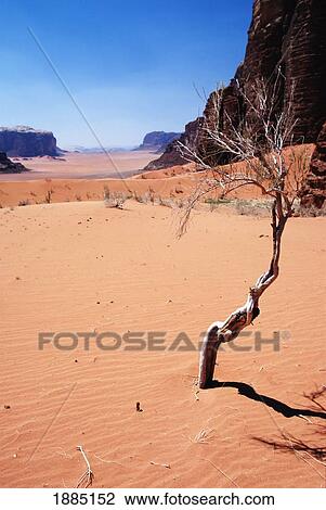 Desert Landscape View Large Photo Image Stock Image - Desert Landscape. Fotosearch