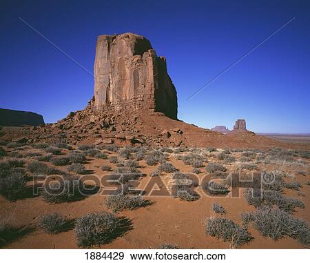 Stock Photo - Desert Vegetation In Monument Valley. Fotosearch