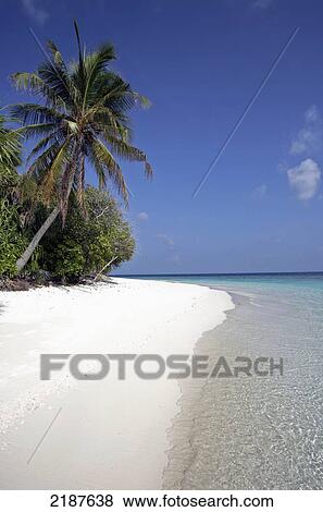 Stock Photo - Deserted island; Maldives. Fotosearch