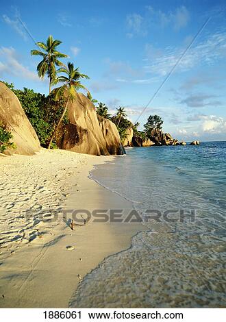 Deserted Tropical Beach View Large Photo Image Stock Image - Deserted Tropical Beach. Fotosearch