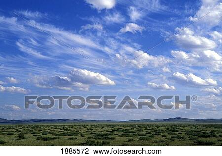 Desolate Green Landscape View Large Photo Image Stock Image - Desolate Green Landscape. Fotosearch