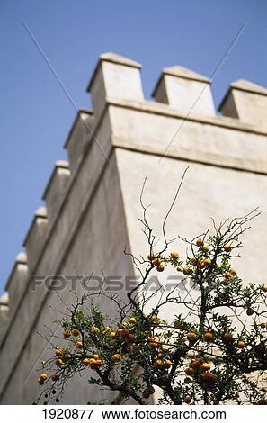 Stock Photo - Detail From Alcazar. Fotosearch