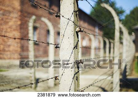 Detail of barbed wire fence in Auschwitz concentration camp; Osweciem, Poland View Large Photo Image Stock Photo - Detail of barbed wire fence in Auschwitz concentration camp; Osweciem, Poland. Fotosearch