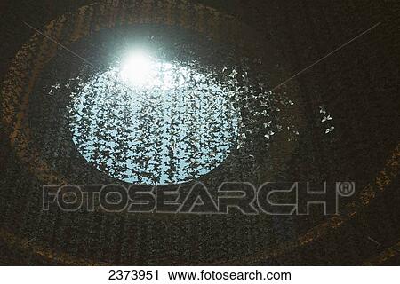 Stock Image - Detail of butterflies hanging from the ceiling in the fashion area of the Dubai Mall; Dubai, United Arab Emirates. Fotosearch