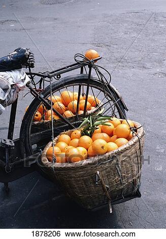 Detail Of Oranges In Baskets On Back Of Bicycle View Large Photo Image Stock Photograph - Detail Of Oranges In Baskets On Back Of Bicycle. Fotosearch