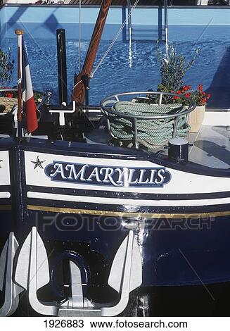 Detail Of The Bow Of The Amaryllis View Large Photo Image Stock Image - Detail Of The Bow Of The Amaryllis. Fotosearch