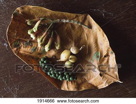 Stock Photograph - Detail Of Zanzibar Spices. Fotosearch