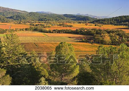 Diamond Mountain Ranch Vineyard; Napa Area California United States Of America View Large Photo Image Stock Photography - Diamond Mountain Ranch Vineyard; Napa Area California United States Of America. Fotosearch