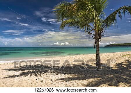Dickenson Bay; St. John's, Antigua, West Indies View Large Photo Image Stock Photograph - Dickenson Bay; St. John's, Antigua, West Indies. Fotosearch