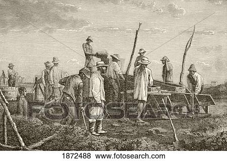 Stock Photo - Digging For Diamonds In South Africa. From The Book Chips From The Earth's Crust Published 1894.. Fotosearch