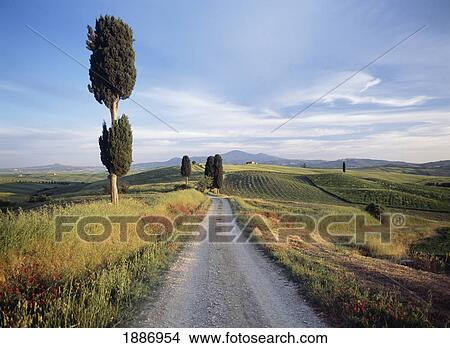 Picture - Dirt Road Disappearing Down Rural Landscape. Fotosearch
