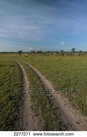Stock Image - Dirt road through Ol Pejeta Conservancy; Kenya. Fotosearch