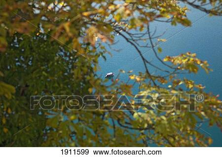 Stock Photo - Distant View Of Boat Through Trees, Lake Bled, Slovenia. Fotosearch