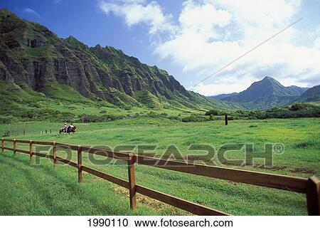 Stock Image - Distant View Of Couple On Horseback, Large Open Grass Field, Mountains In Background. Fotosearch