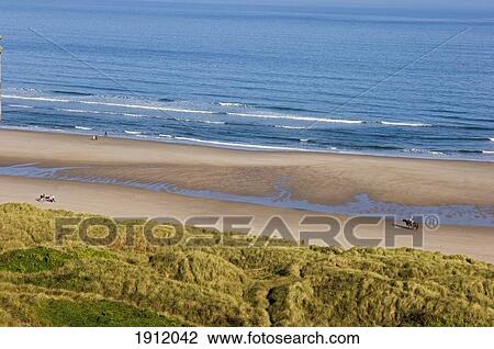 Distant View Of People Horseback Riding On Beach, Northumberland, England, Uk View Large Photo Image Stock Image - Distant View Of People Horseback Riding On Beach, Northumberland, England, Uk. Fotosearch