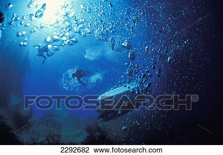 Diver Underwater With Sun Behind Them View Large Photo Image Stock Image - Diver Underwater With Sun Behind Them. Fotosearch