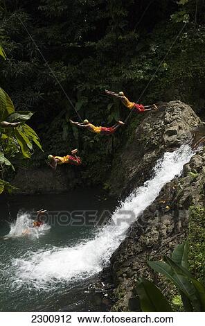 Diving into the Seven Sisters Waterfall; Grenada View Large Photo Image Stock Image - Diving into the Seven Sisters Waterfall; Grenada. Fotosearch