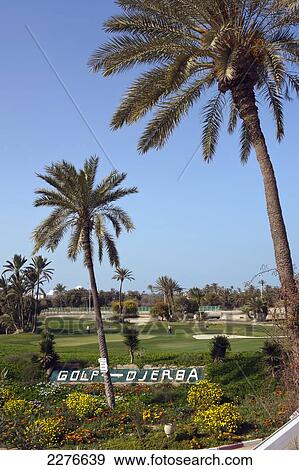 Djerba Golf Club; Djerba, Tunisia View Large Photo Image Stock Photo - Djerba Golf Club; Djerba, Tunisia. Fotosearch