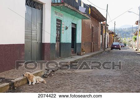 Stock Image - Dog Resting His Head On A Sidewalk, San Jer. Fotosearch