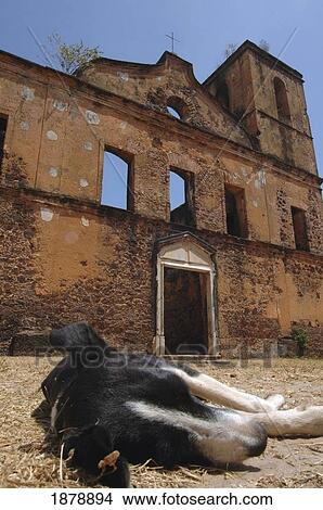 Dog Sleeping Outside Old Fort View Large Photo Image Picture - Dog Sleeping Outside Old Fort. Fotosearch