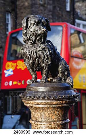 Stock Image - Dog statue of Greyfriars Bobby; Edinburgh, Scotland. Fotosearch