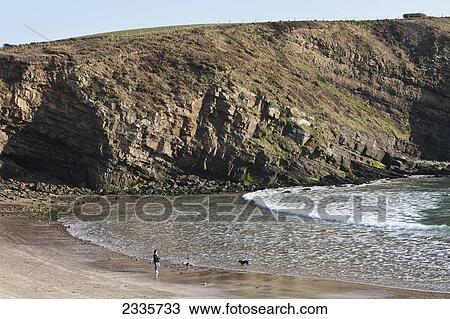 Stock Image - Dog Walker At Nolton Haven Beach Along Pembrokeshire Coast Path Near St David's; Wales, Uk. Fotosearch
